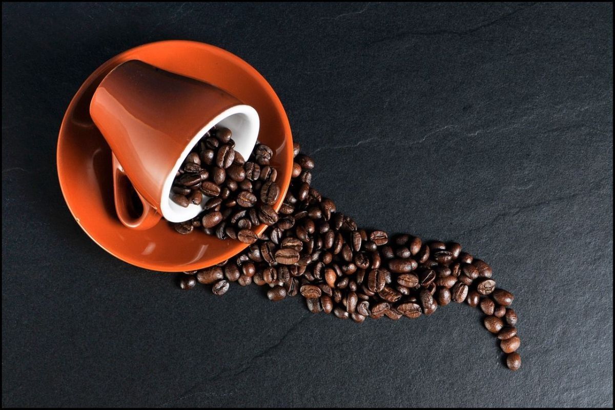 Minum kopi sanggup bantu atur berat badan, tapi, ada syaratnya